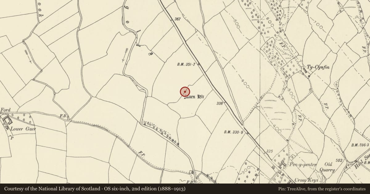 Ordnance Survey six-inch map, 2nd edition (1888–1913) covering the location of Standing Stone North of Tretower, Llanfihangel Cwmdu with Bwlch and Cathedine, Powys, with a pin at the register's coordinates
