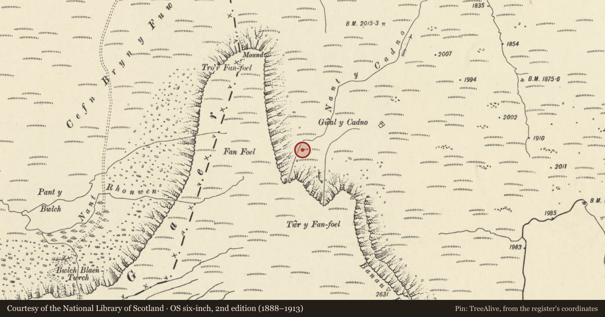 Ordnance Survey six-inch map, 2nd edition (1888–1913) covering the location of Two Cairns on Fan Foel, Llywel, Powys, with a pin at the register's coordinates