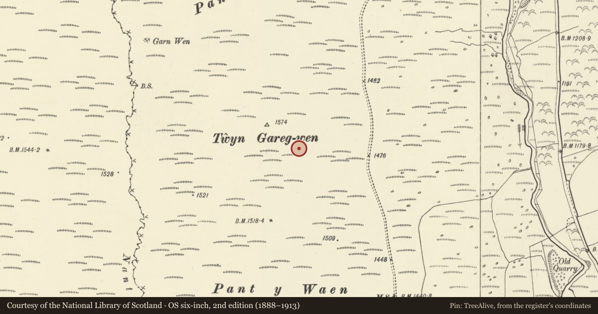 Ordnance Survey six-inch map, 2nd edition (1888–1913) covering the location of Twyn Garreg Wen Cairn, Llanfrynach, Powys, with a pin at the register's coordinates