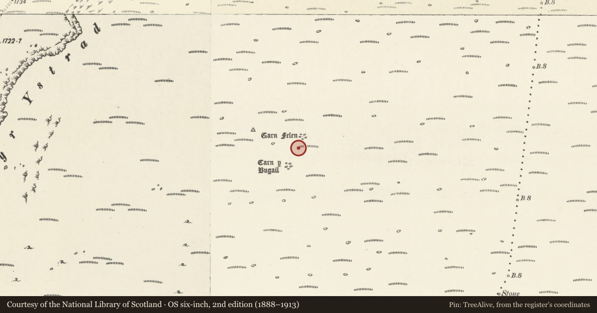 Ordnance Survey six-inch map, 2nd edition (1888–1913) covering the location of Carn y Bugail and Carn Felen, Llangynidr, Powys, with a pin at the register's coordinates