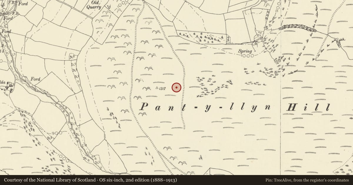 Ordnance Survey six-inch map, 2nd edition (1888–1913) covering the location of Cwmhindda Deserted Rural Settlement, Duhonw, Powys, with a pin at the register's coordinates
