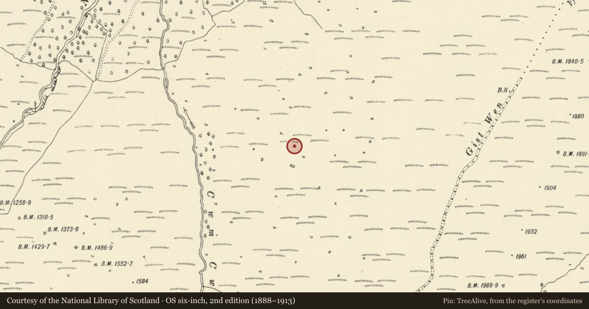 Ordnance Survey six-inch map, 2nd edition (1888–1913) covering the location of Cwm Cwareli Longhouse and Long Hut, Talybont-on-Usk, Powys, with a pin at the register's coordinates