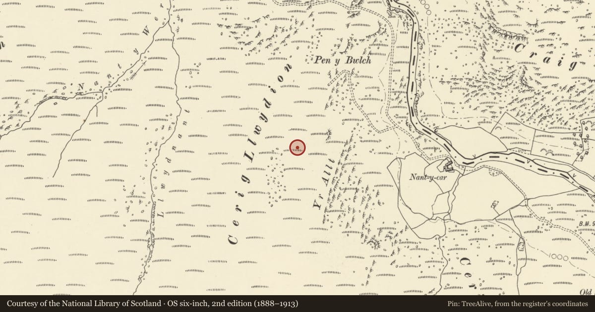 Ordnance Survey six-inch map, 2nd edition (1888–1913) covering the location of Cerrig Llwydion Deserted Rural Settlement, Llanwrthwl, Powys, with a pin at the register's coordinates