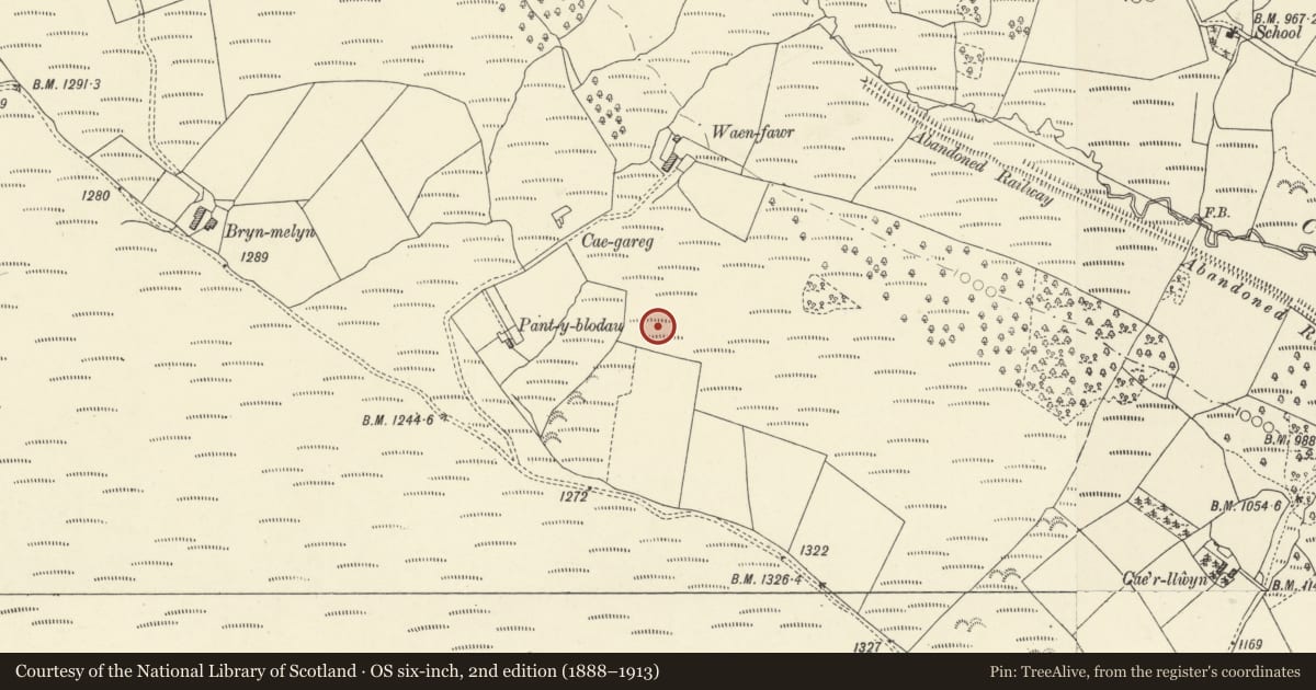 Ordnance Survey six-inch map, 2nd edition (1888–1913) covering the location of Pant-y-Blodau Deserted Rural Settlement, Maescar, Powys, with a pin at the register's coordinates