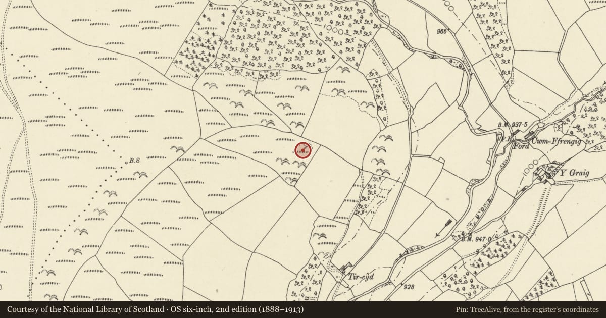 Ordnance Survey six-inch map, 2nd edition (1888–1913) covering the location of Tir-cyd Deserted Rural Settlement, Trallong, Powys, with a pin at the register's coordinates