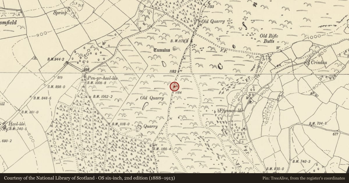 Ordnance Survey six-inch map, 2nd edition (1888–1913) covering the location of Ffynnon Las Round Cairn I, Llanfihangel Cwmdu with Bwlch and Cathedine, Powys, with a pin at the register's coordinates