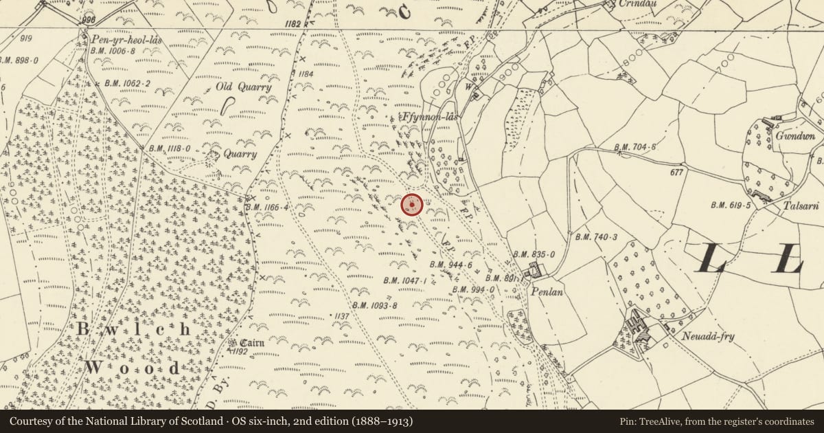 Ordnance Survey six-inch map, 2nd edition (1888–1913) covering the location of Ffynnon Las Bronze Age Ritual Complex, Llanfihangel Cwmdu with Bwlch and Cathedine, Powys, with a pin at the register's coordinates