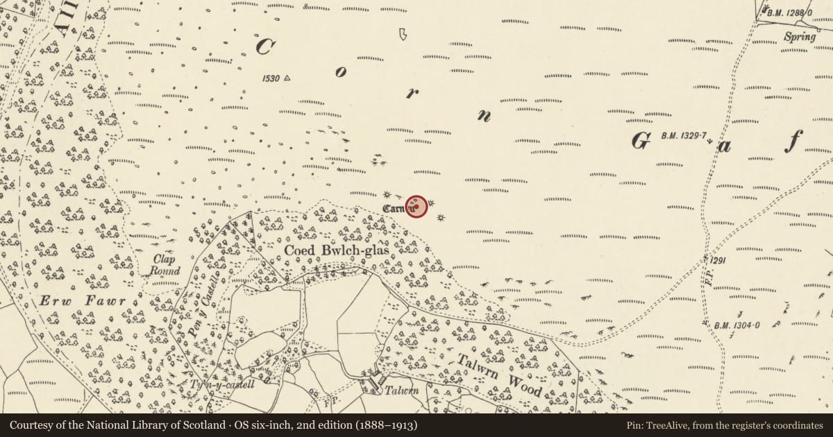 Ordnance Survey six-inch map, 2nd edition (1888–1913) covering the location of Corn Gafallt Cairn Cemetery, Llanwrthwl, Powys, with a pin at the register's coordinates