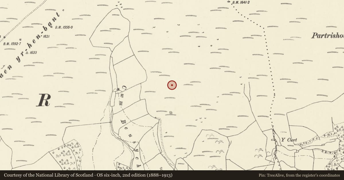 Ordnance Survey six-inch map, 2nd edition (1888–1913) covering the location of Cwm Beusych Deserted Rural Settlement, The Vale of Grwyney, Powys, with a pin at the register's coordinates