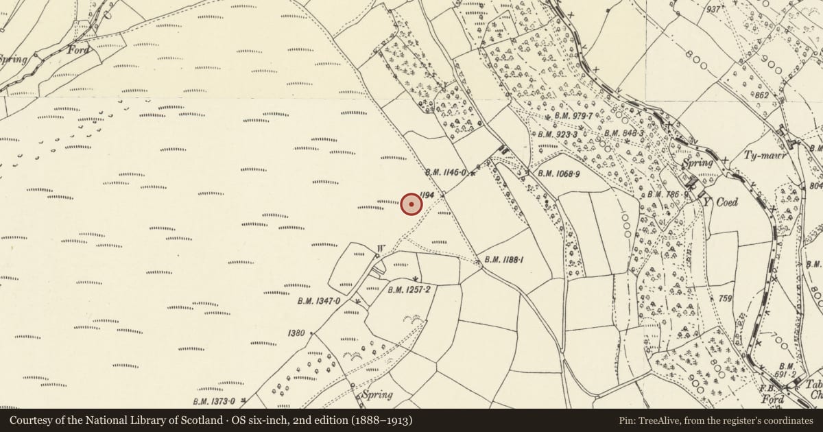 Ordnance Survey six-inch map, 2nd edition (1888–1913) covering the location of Llwyn y Brain Deserted Rural Settlement, The Vale of Grwyney, Powys, with a pin at the register's coordinates