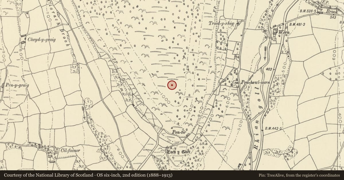 Ordnance Survey six-inch map, 2nd edition (1888–1913) covering the location of Round Cairn, Llanfihangel Cwmdu with Bwlch and Cathedine, Powys, with a pin at the register's coordinates