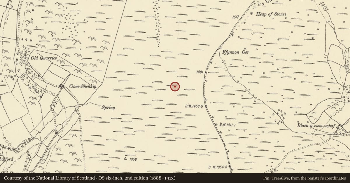 Ordnance Survey six-inch map, 2nd edition (1888–1913) covering the location of Round Cairn, Llangors, Powys, with a pin at the register's coordinates