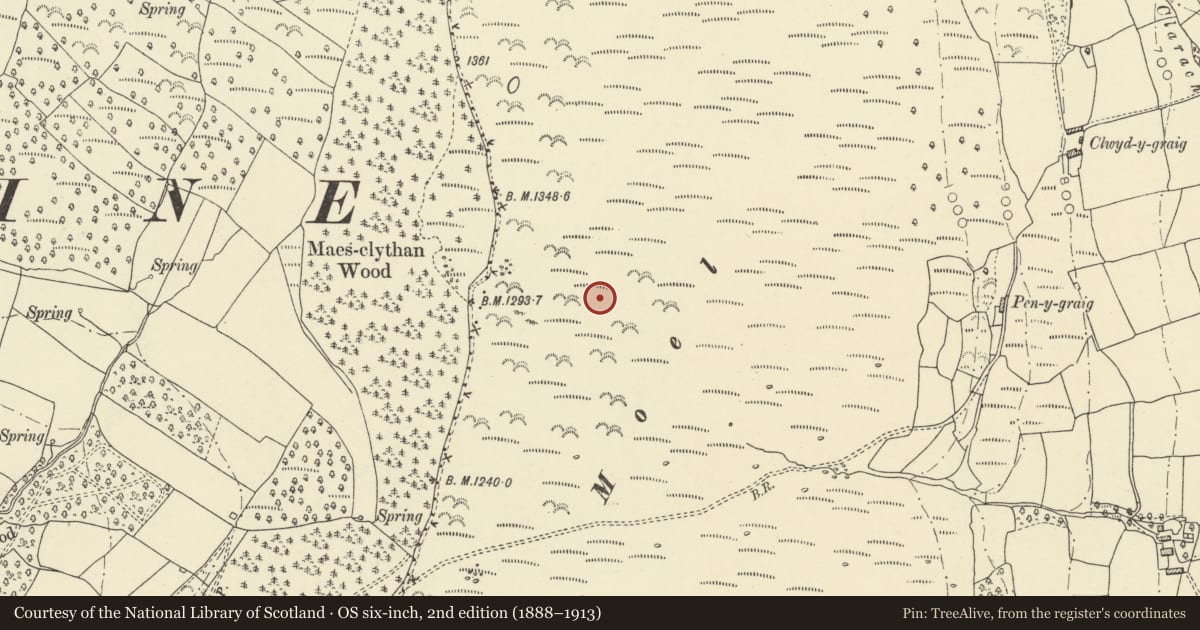 Ordnance Survey six-inch map, 2nd edition (1888–1913) covering the location of Maes Clythan Wood cairn, Llanfihangel Cwmdu with Bwlch and Cathedine, Powys, with a pin at the register's coordinates
