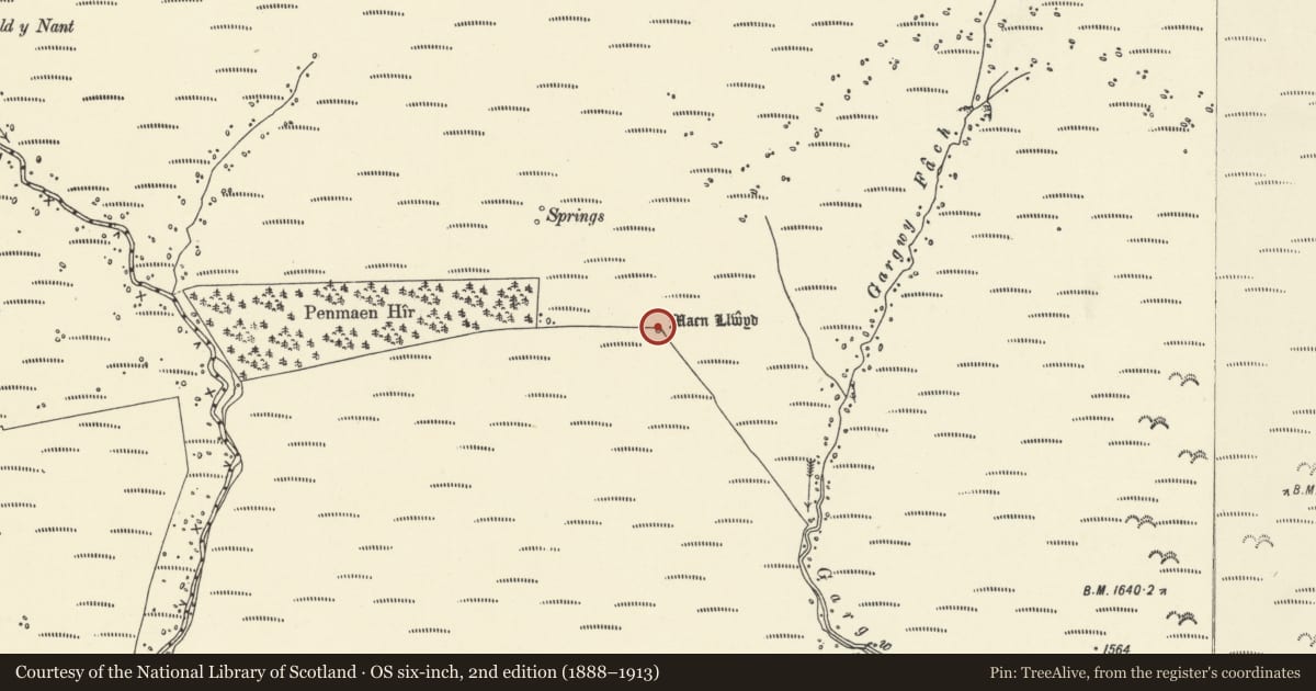 Ordnance Survey six-inch map, 2nd edition (1888–1913) covering the location of Maen Llwyd standing stone, The Vale of Grwyney, Powys, with a pin at the register's coordinates