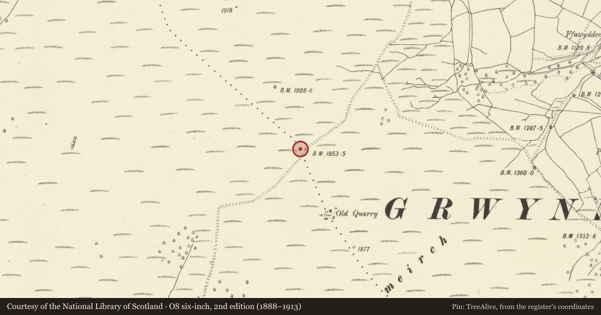 Ordnance Survey six-inch map, 2nd edition (1888–1913) covering the location of Nant yr Ychen round cairn, The Vale of Grwyney, Powys, with a pin at the register's coordinates