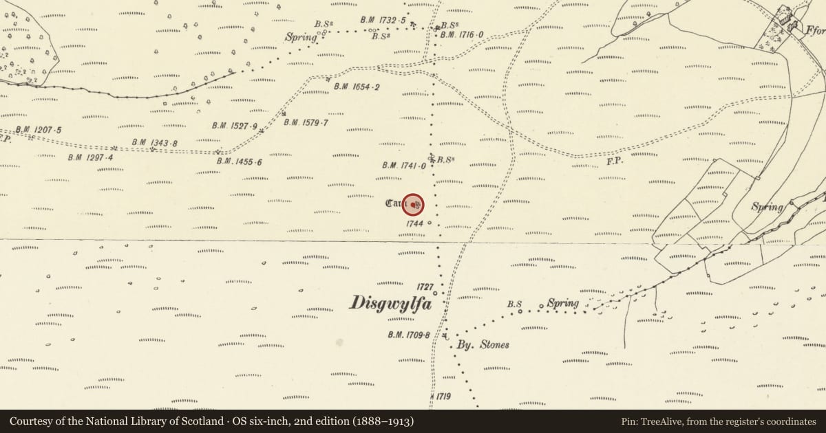 Ordnance Survey six-inch map, 2nd edition (1888–1913) covering the location of Disgwylfa round cairn, The Vale of Grwyney, Powys, with a pin at the register's coordinates