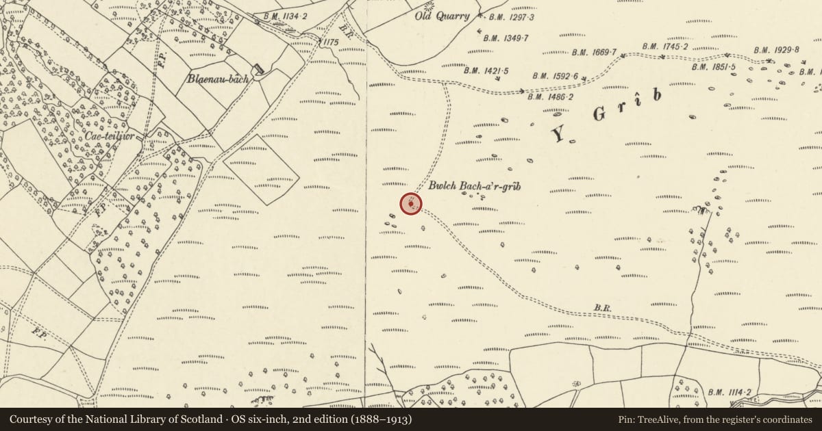 Ordnance Survey six-inch map, 2nd edition (1888–1913) covering the location of Bwlch Bach a'r Grib round cairn, Talgarth, Powys, with a pin at the register's coordinates