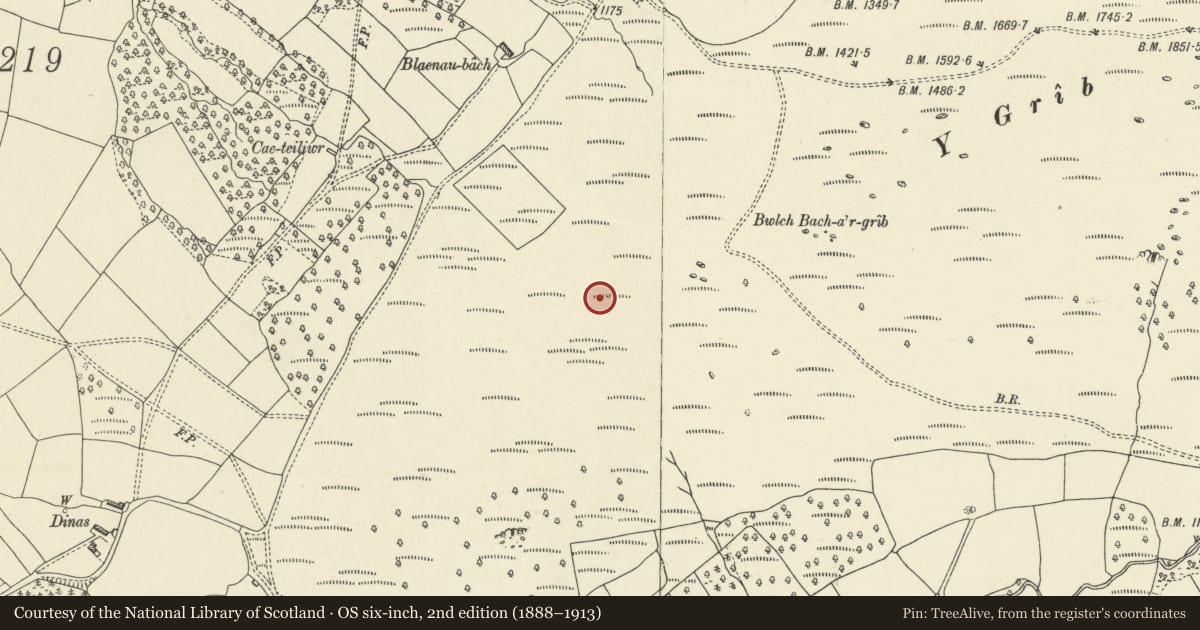 Ordnance Survey six-inch map, 2nd edition (1888–1913) covering the location of Round Cairn, Talgarth, Powys, with a pin at the register's coordinates
