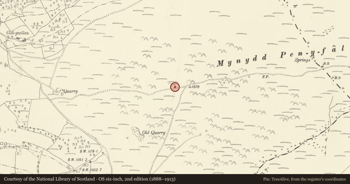 Ordnance Survey six-inch map, 2nd edition (1888–1913) covering the location of Mynydd Pen-y-fal round cairns, The Vale of Grwyney, Powys, with a pin at the register's coordinates