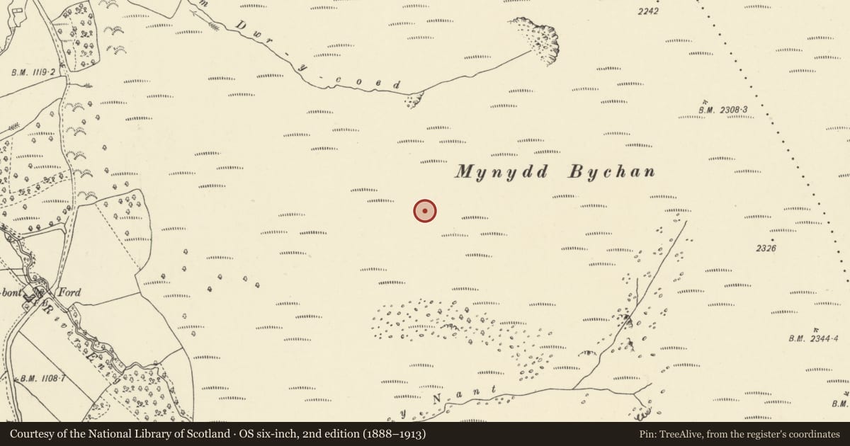 Ordnance Survey six-inch map, 2nd edition (1888–1913) covering the location of Mynydd Bychan platform cairn, Talgarth, Powys, with a pin at the register's coordinates