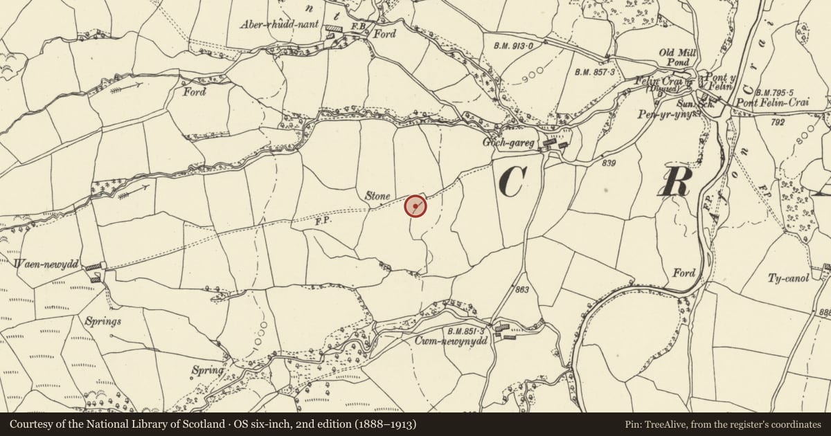 Ordnance Survey six-inch map, 2nd edition (1888–1913) covering the location of Waunewydd standing stone, Cray, Powys, with a pin at the register's coordinates