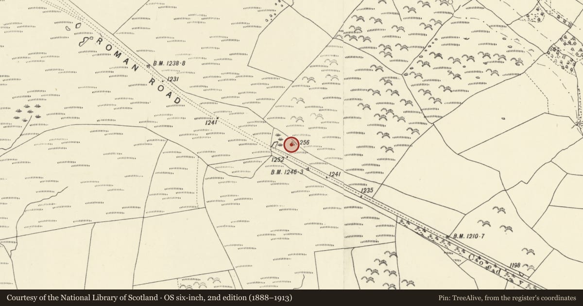 Ordnance Survey six-inch map, 2nd edition (1888–1913) covering the location of Pant Madog round cairn, Llywel, Powys, with a pin at the register's coordinates