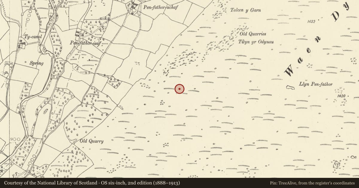 Ordnance Survey six-inch map, 2nd edition (1888–1913) covering the location of Twyn yr Odynau round cairn, Ystradfellte, Powys, with a pin at the register's coordinates