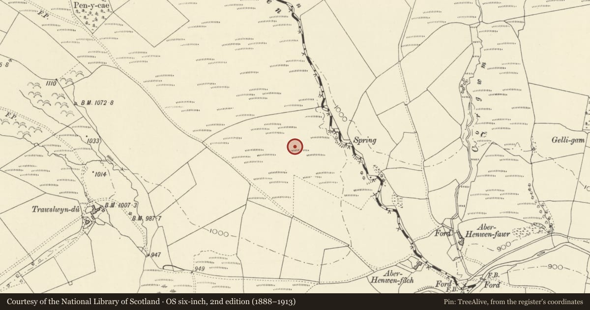 Ordnance Survey six-inch map, 2nd edition (1888–1913) covering the location of Cwm Henwen round barrow, Llywel, Powys, with a pin at the register's coordinates