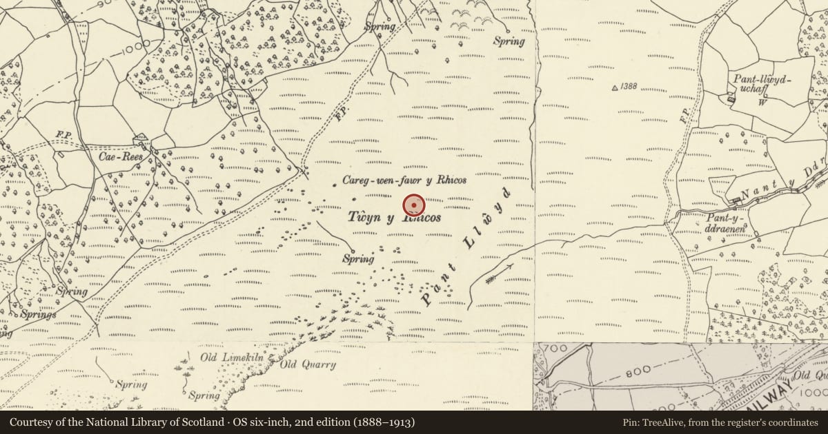 Ordnance Survey six-inch map, 2nd edition (1888–1913) covering the location of Carreg Wen Fawr y Rugos cairn cemetery, Llangynidr, Powys, with a pin at the register's coordinates