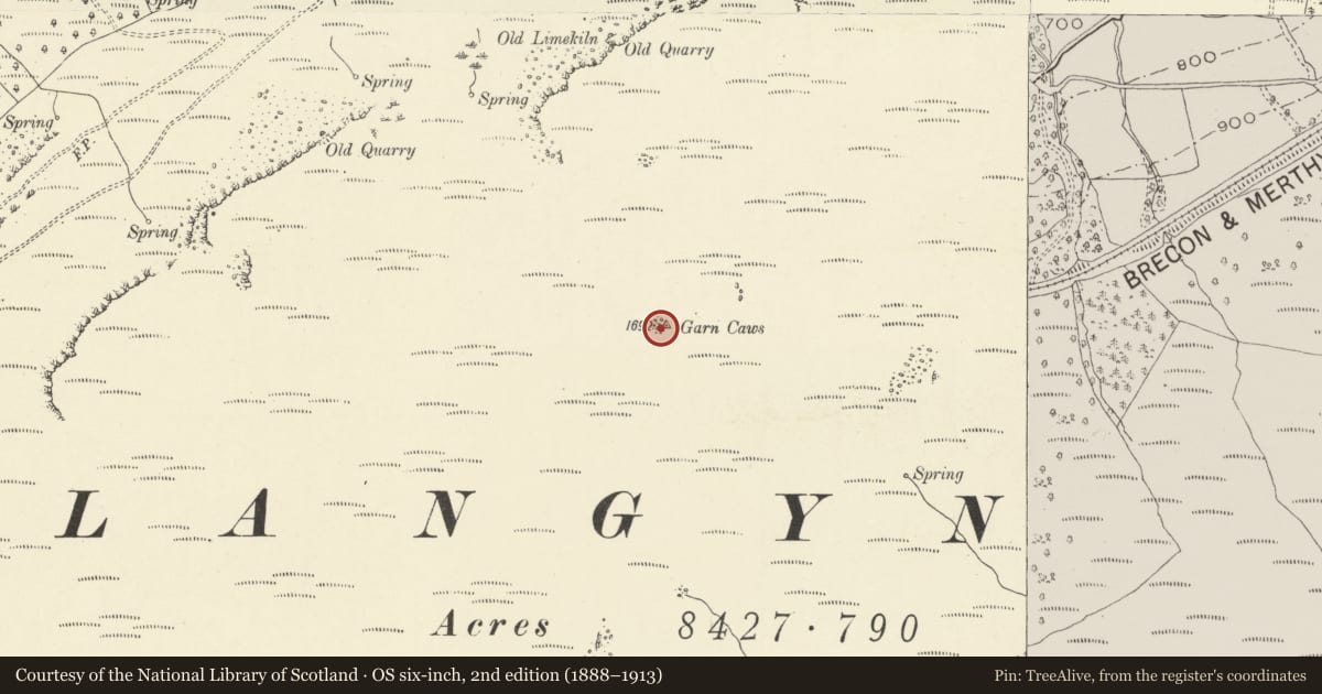 Ordnance Survey six-inch map, 2nd edition (1888–1913) covering the location of Carn Caws round cairn, Llangynidr, Powys, with a pin at the register's coordinates