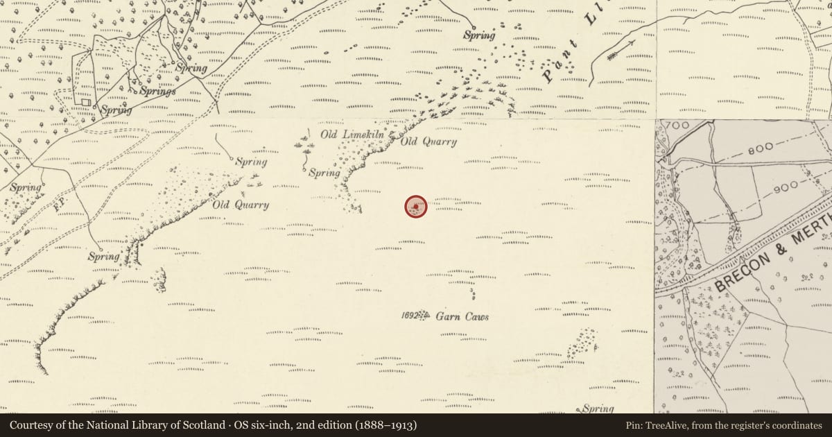 Ordnance Survey six-inch map, 2nd edition (1888–1913) covering the location of Round Cairn, Llangynidr, Powys, with a pin at the register's coordinates