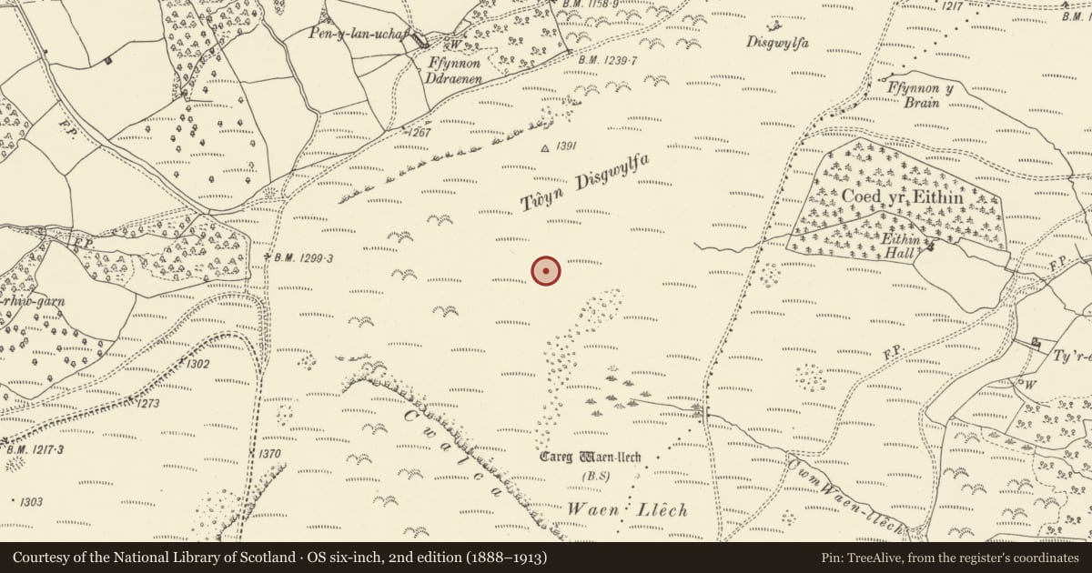 Ordnance Survey six-inch map, 2nd edition (1888–1913) covering the location of Twyn Disgwylfa platform cairn, Llangynidr, Powys, with a pin at the register's coordinates