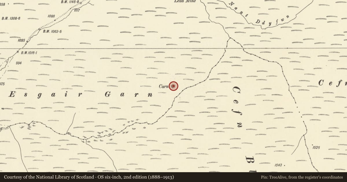 Ordnance Survey six-inch map, 2nd edition (1888–1913) covering the location of Esgair Garn ring cairn, Llanwrtyd Wells, Powys, with a pin at the register's coordinates