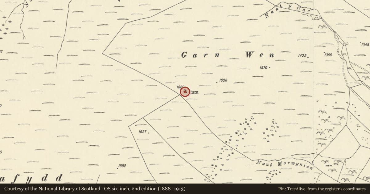 Ordnance Survey six-inch map, 2nd edition (1888–1913) covering the location of Garn Wen round cairn, Llanwrtyd Wells, Powys, with a pin at the register's coordinates