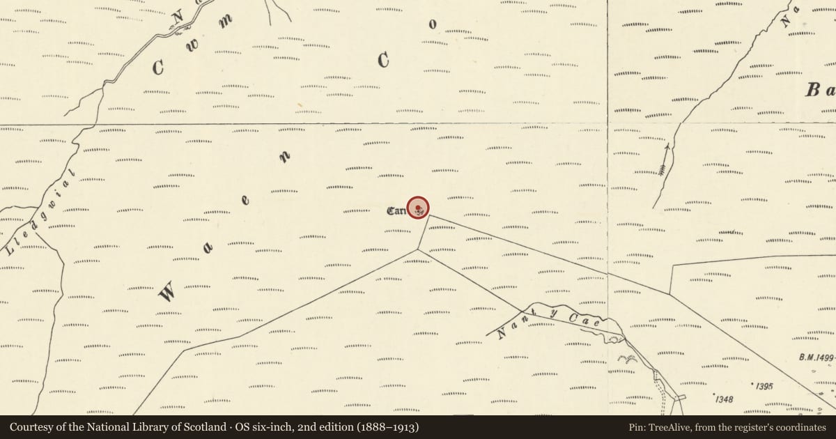 Ordnance Survey six-inch map, 2nd edition (1888–1913) covering the location of Waun Coli round cairn, Llanwrtyd Wells, Powys, with a pin at the register's coordinates