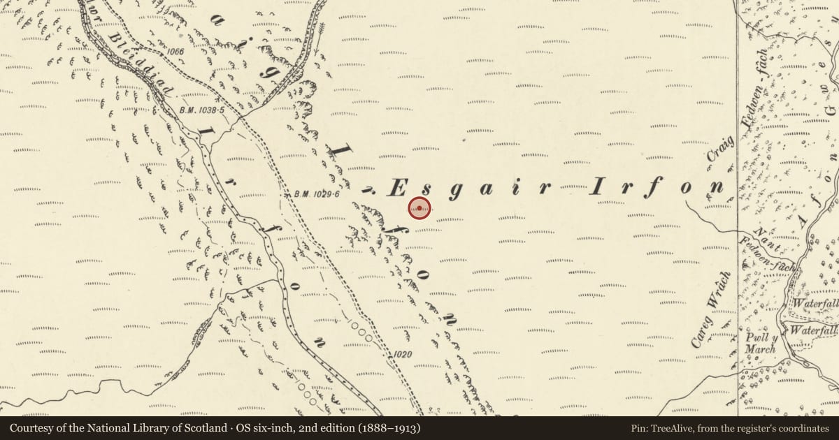 Ordnance Survey six-inch map, 2nd edition (1888–1913) covering the location of Esgair Irfon round cairn, Llanwrtyd Wells, Powys, with a pin at the register's coordinates