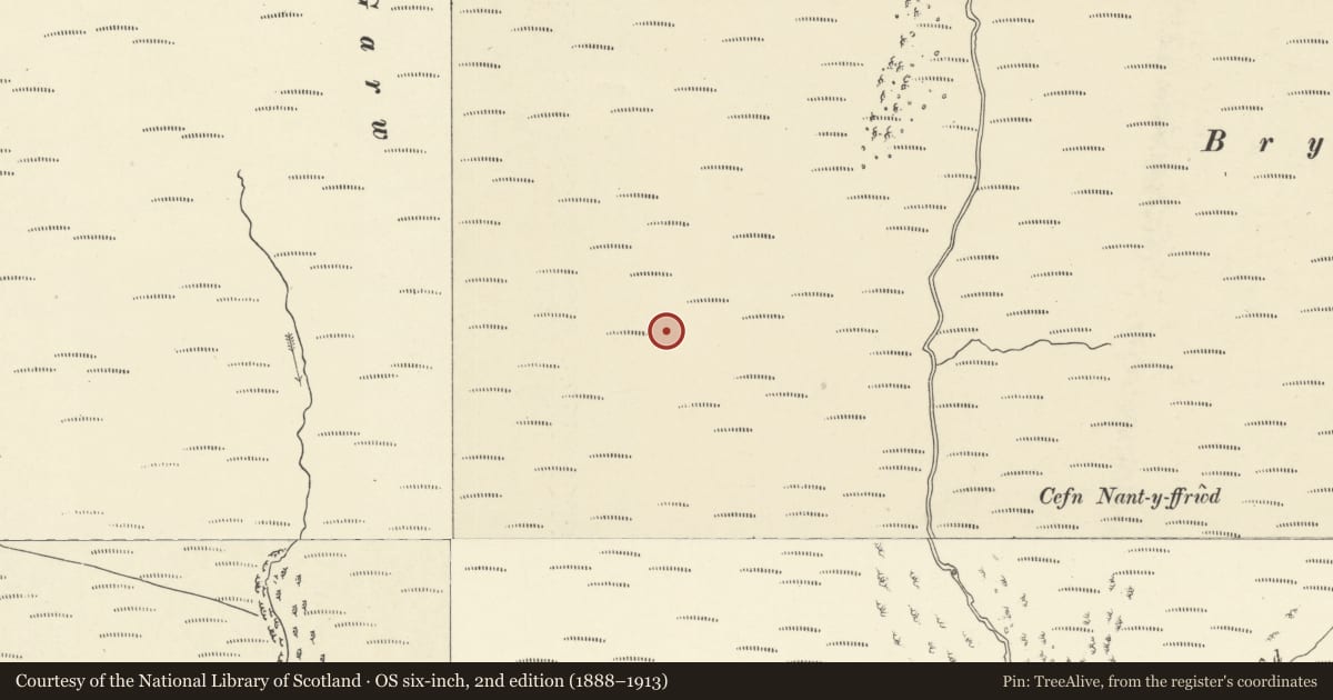 Ordnance Survey six-inch map, 2nd edition (1888–1913) covering the location of Drygarn Fach round cairn, Llanwrtyd Wells, Powys, with a pin at the register's coordinates