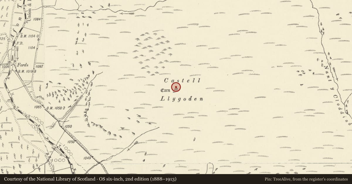 Ordnance Survey six-inch map, 2nd edition (1888–1913) covering the location of Castell Llygoden platform cairn, Llanwrtyd Wells, Powys, with a pin at the register's coordinates