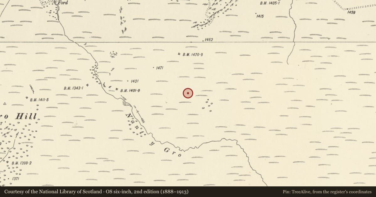 Ordnance Survey six-inch map, 2nd edition (1888–1913) covering the location of Nant y Gro round cairns, Llanwrthwl, Powys, with a pin at the register's coordinates