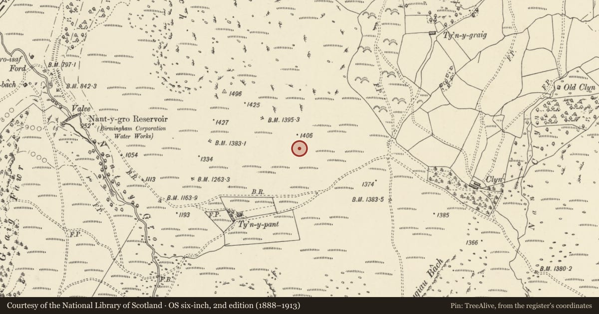 Ordnance Survey six-inch map, 2nd edition (1888–1913) covering the location of Ty'n y Graig round cairn, Llanwrthwl, Powys, with a pin at the register's coordinates