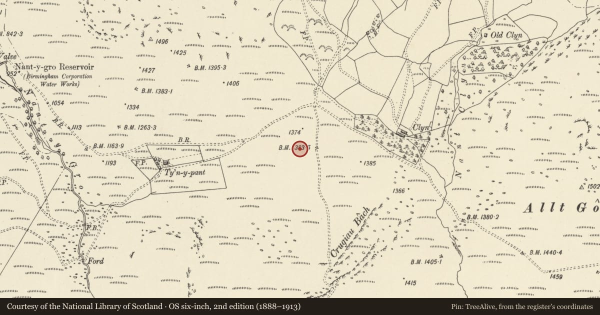 Ordnance Survey six-inch map, 2nd edition (1888–1913) covering the location of Ty'n y Pant round cairns, Llanwrthwl, Powys, with a pin at the register's coordinates