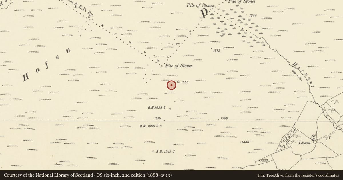 Ordnance Survey six-inch map, 2nd edition (1888–1913) covering the location of Hafen standing stone pair, Llanafanfawr, Powys, with a pin at the register's coordinates