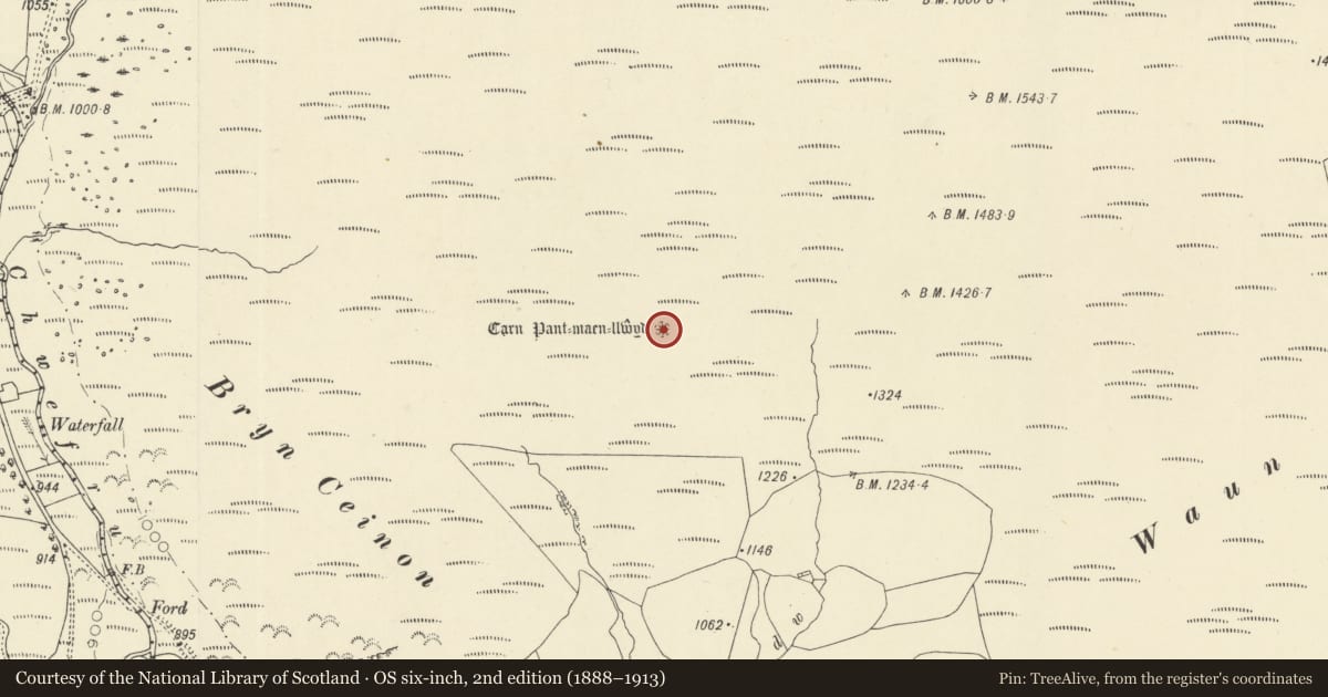 Ordnance Survey six-inch map, 2nd edition (1888–1913) covering the location of Carn Pantmaenllwyd cairn, Llanafanfawr, Powys, with a pin at the register's coordinates