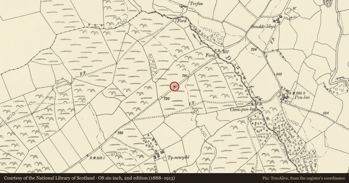 Ordnance Survey six-inch map, 2nd edition (1888–1913) covering the location of Tynewydd Roman road, Treflys, Powys, with a pin at the register's coordinates