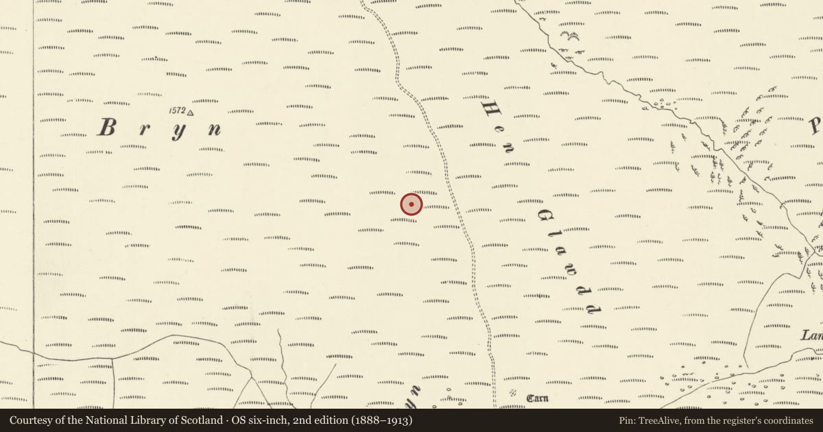 Ordnance Survey six-inch map, 2nd edition (1888–1913) covering the location of Bryn round cairn, Llanafanfawr, Powys, with a pin at the register's coordinates