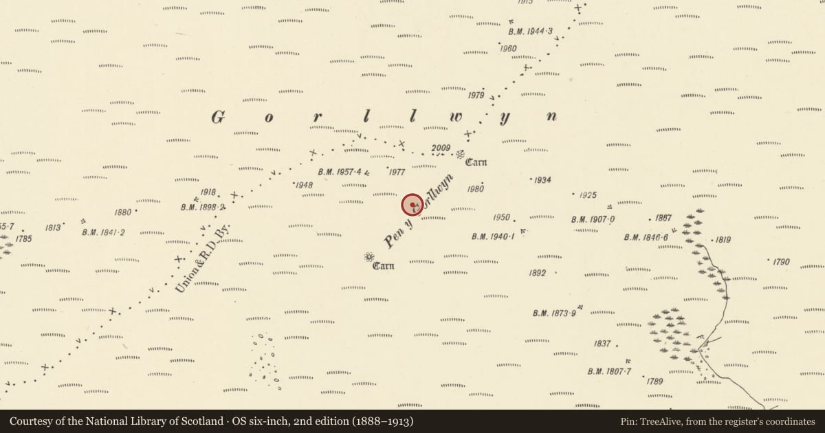 Ordnance Survey six-inch map, 2nd edition (1888–1913) covering the location of Gorllwyn round cairns, Llanafanfawr, Powys, with a pin at the register's coordinates