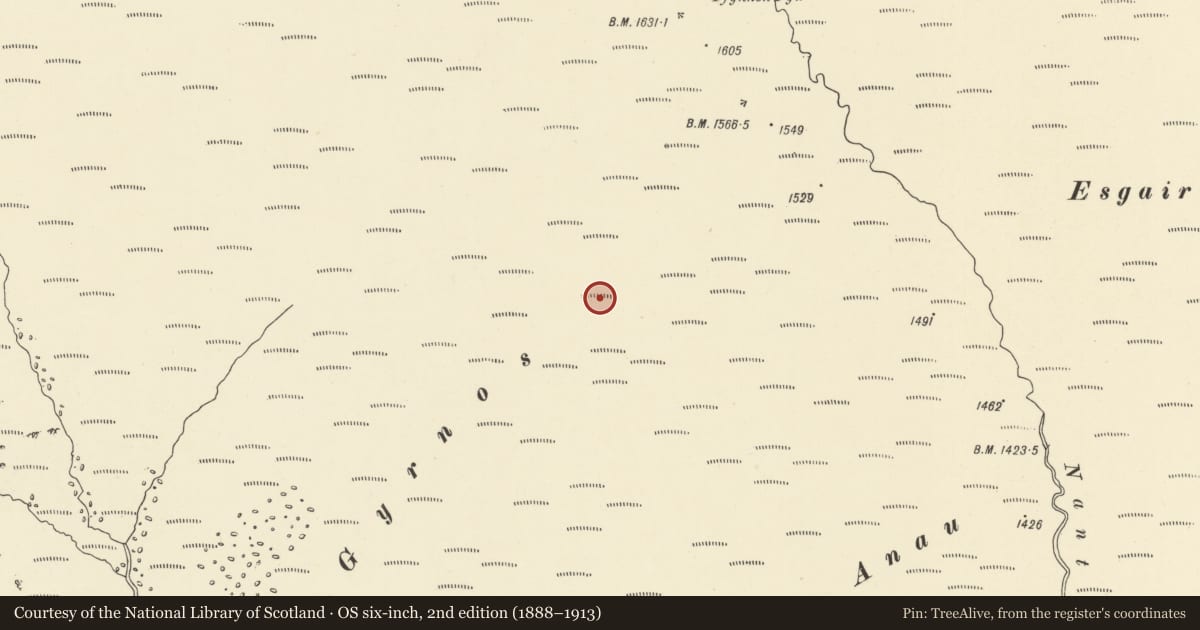 Ordnance Survey six-inch map, 2nd edition (1888–1913) covering the location of Gurnos ring cairn, Llanafanfawr, Powys, with a pin at the register's coordinates