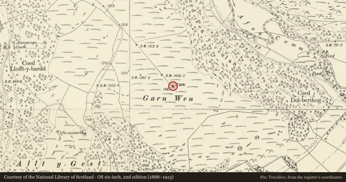 Ordnance Survey six-inch map, 2nd edition (1888–1913) covering the location of Garn Wen round cairn, Treflys, Powys, with a pin at the register's coordinates