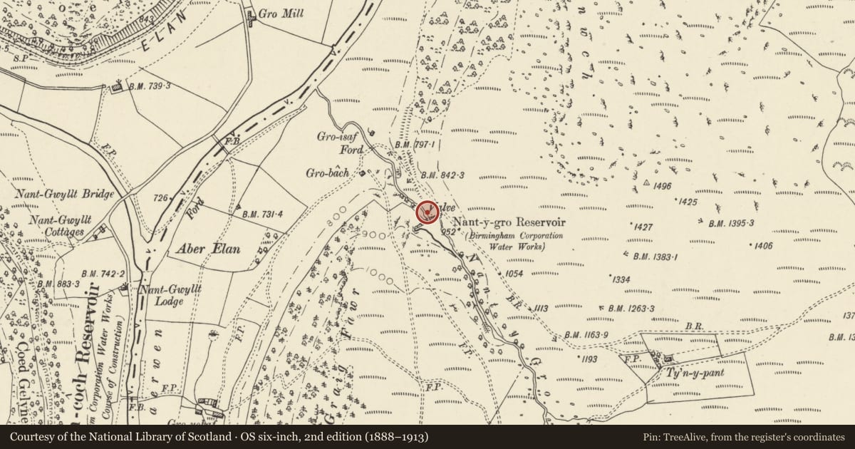 Ordnance Survey six-inch map, 2nd edition (1888–1913) covering the location of Nant-y-Gro Dam, Llanwrthwl, Powys, with a pin at the register's coordinates