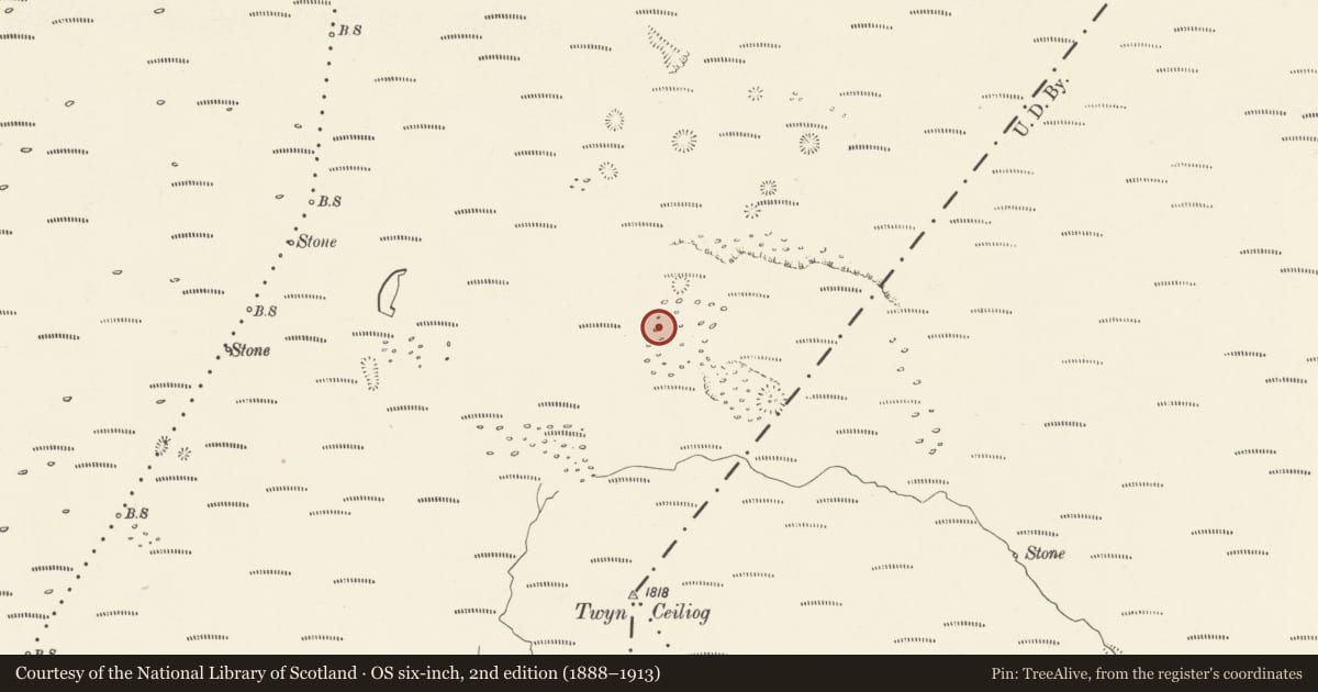 Ordnance Survey six-inch map, 2nd edition (1888–1913) covering the location of Twyn Ceilog Round Cairn, Llangynidr, Powys, with a pin at the register's coordinates